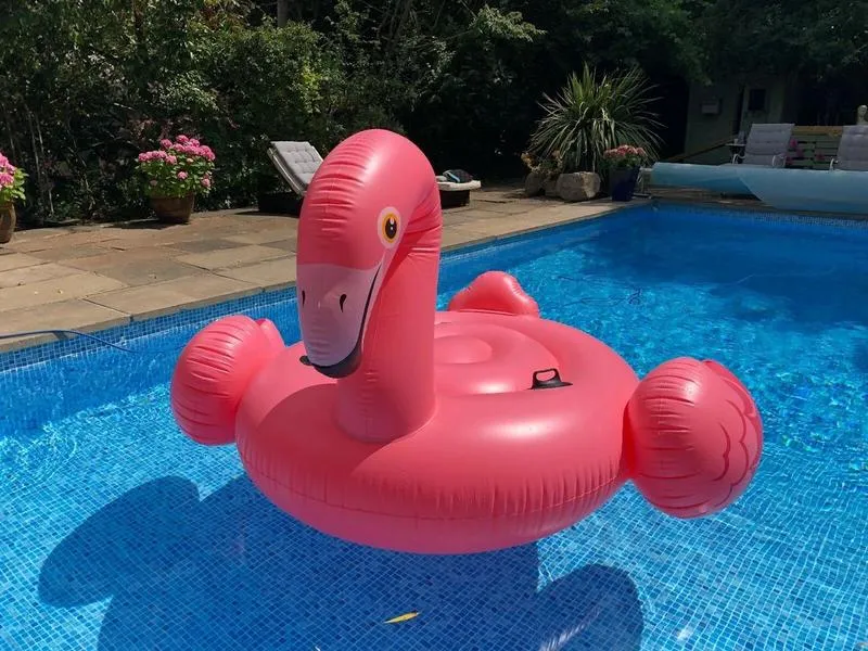 Intex Mega Flamingo Island | 42157288