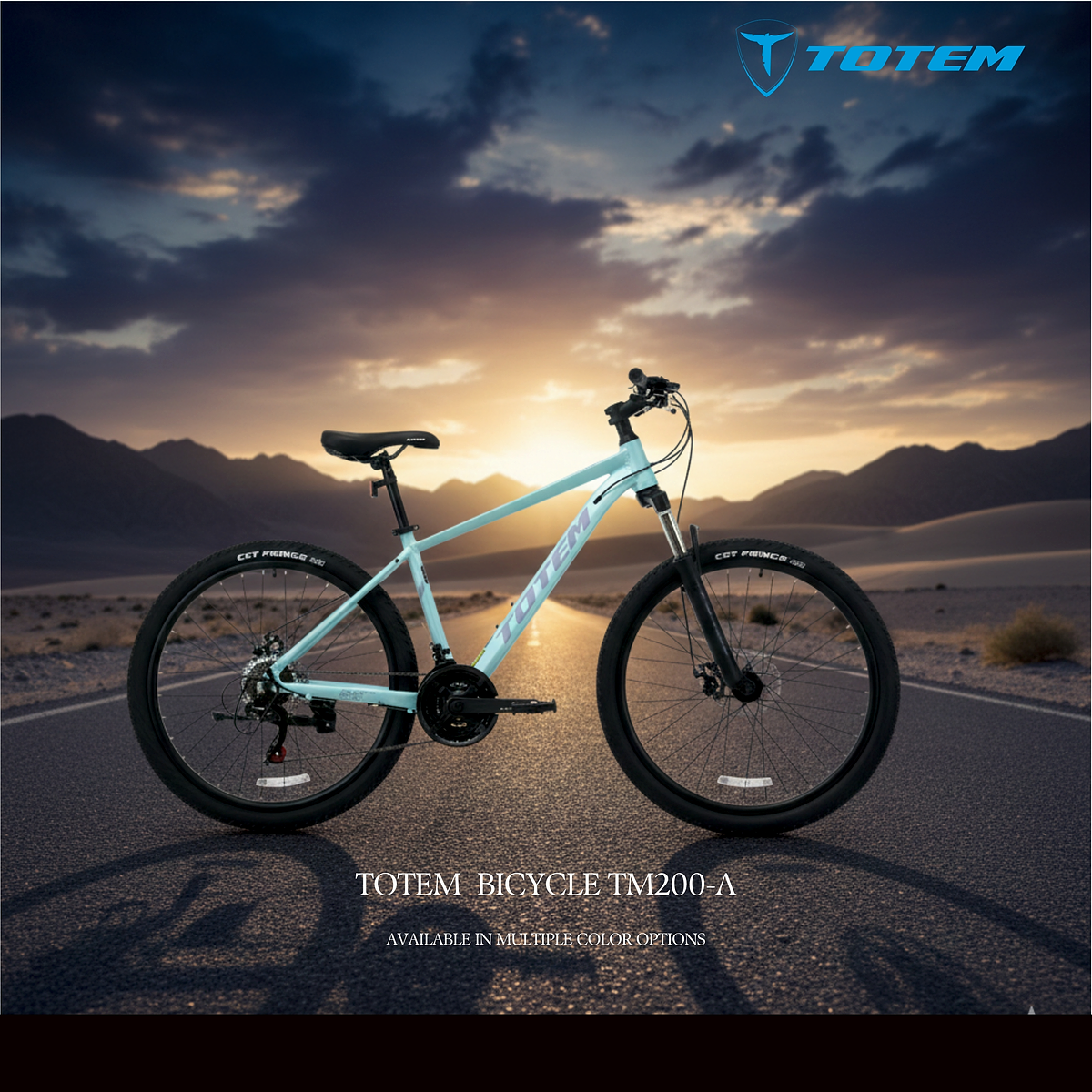 TOTEM BICYCLE TM200-A 27. 5" | 13100028
