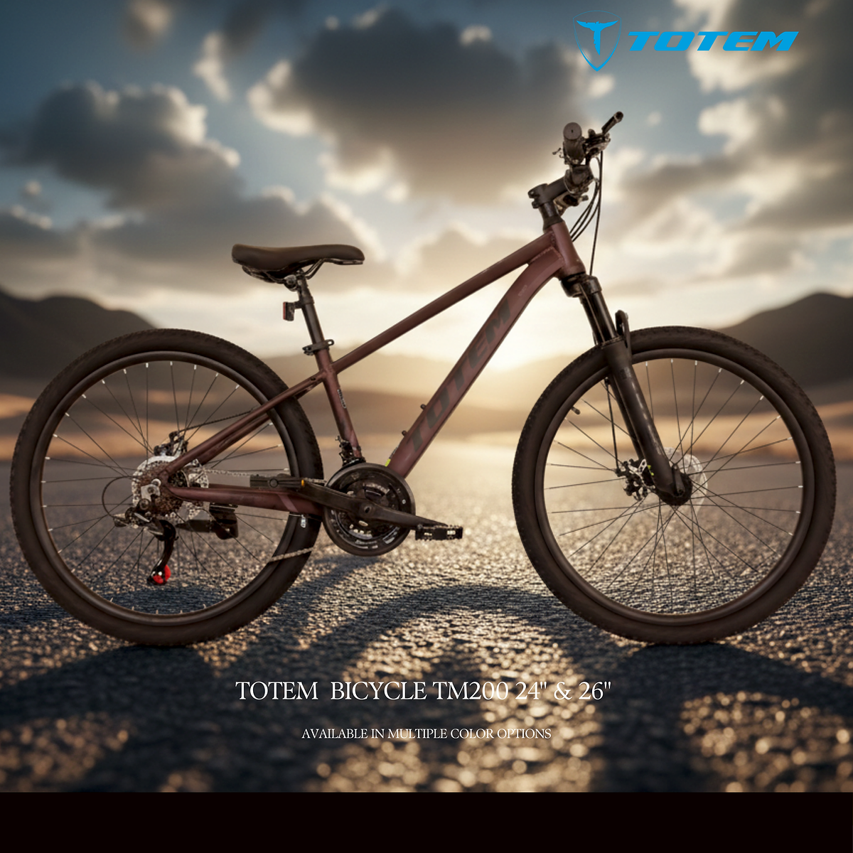 TOTEM BICYCLE TM200 24" | 13100026