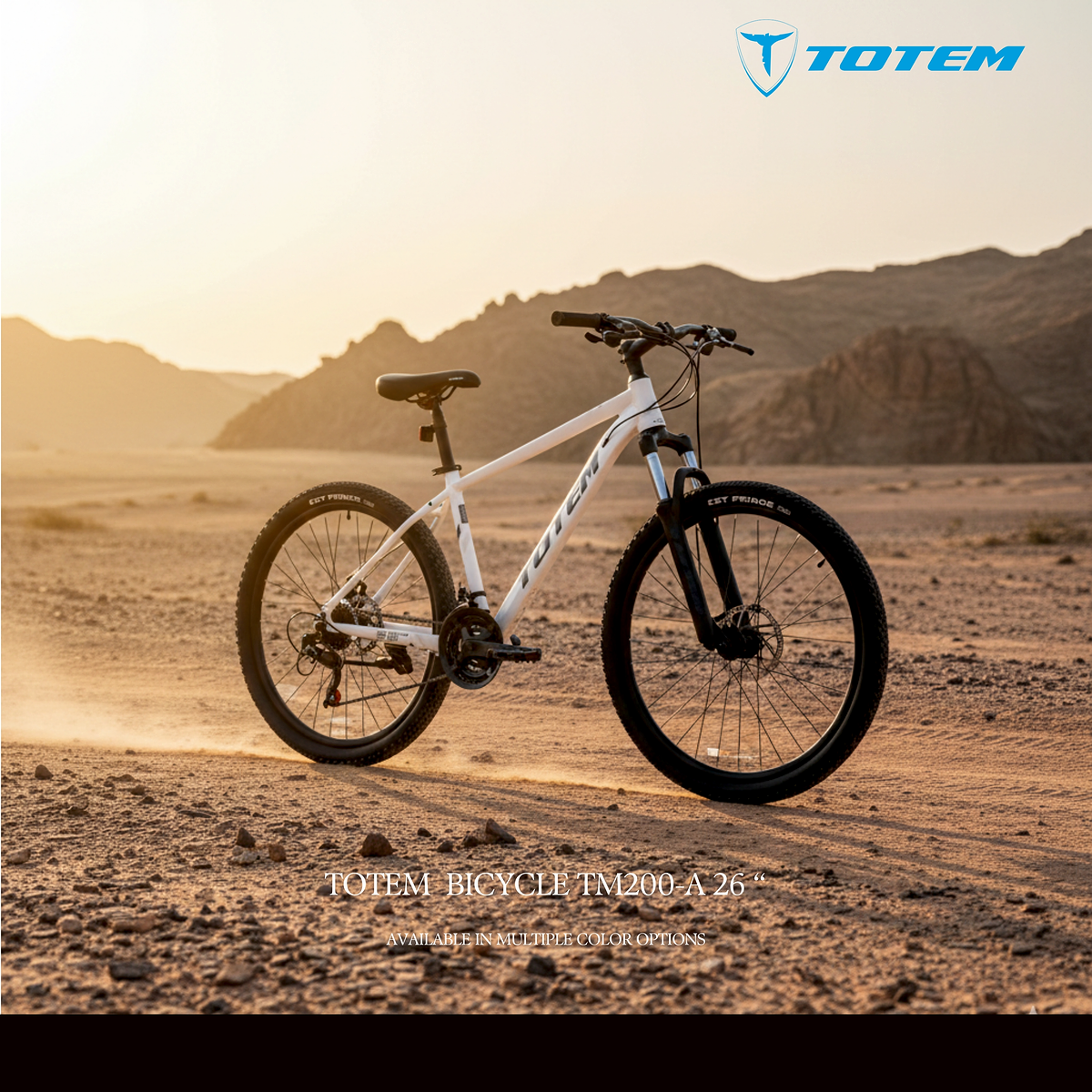 TOTEM BICYCLE TM200-A 26" | 13100027
