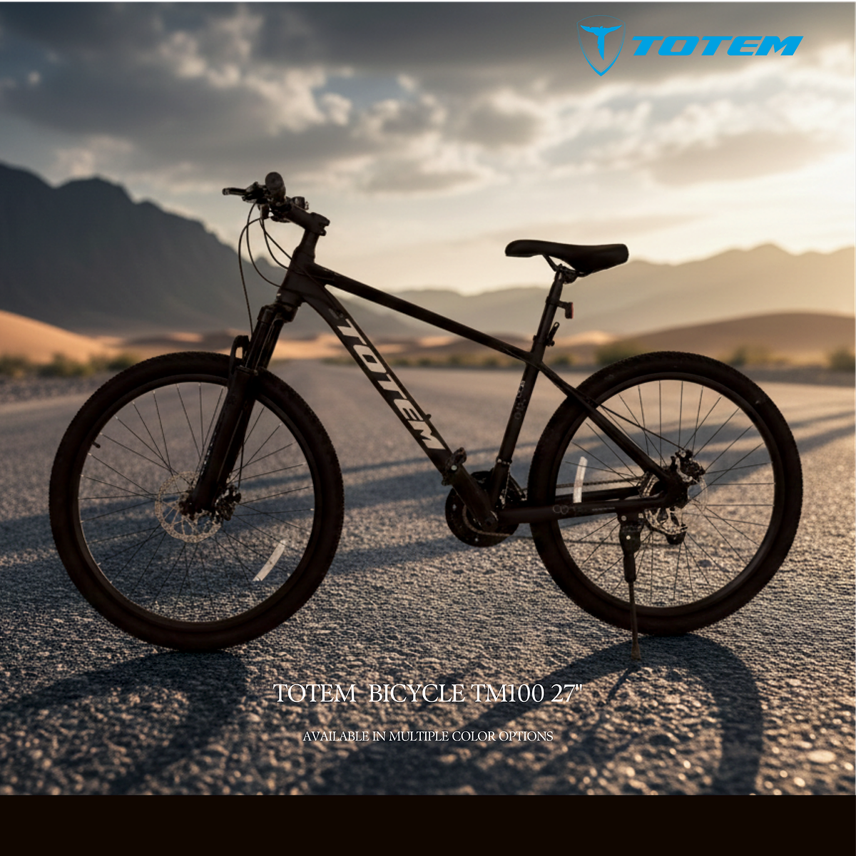 TOTEM BICYCLE TM100 27. 5