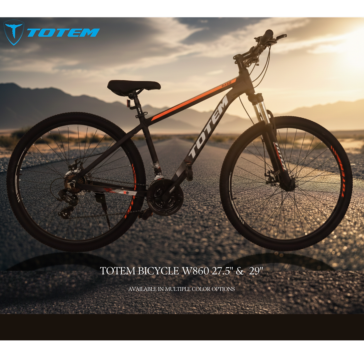TOTEM BICYCLE W860 29" | 13100031