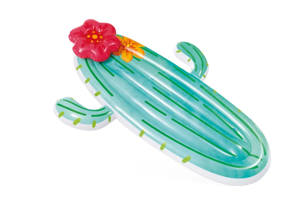 INTEX CACTUS FLOAT | 42158793