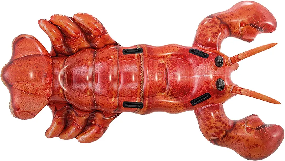 INTEX LOBSTER RIDE | 42157533