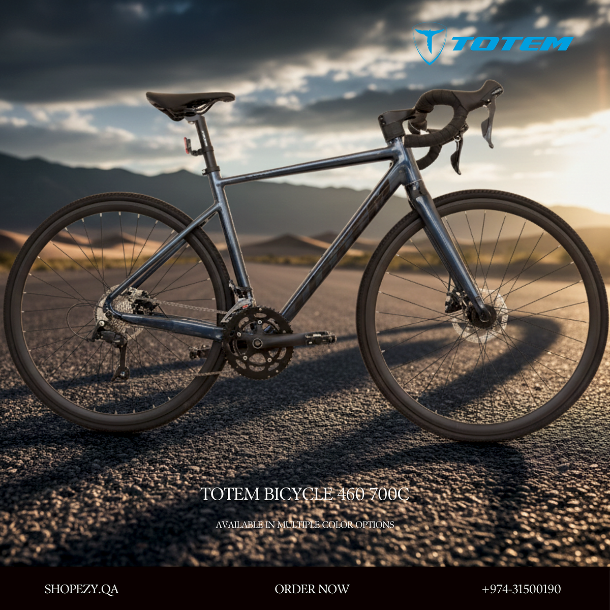 TOTEM BICYCLE 460 700C