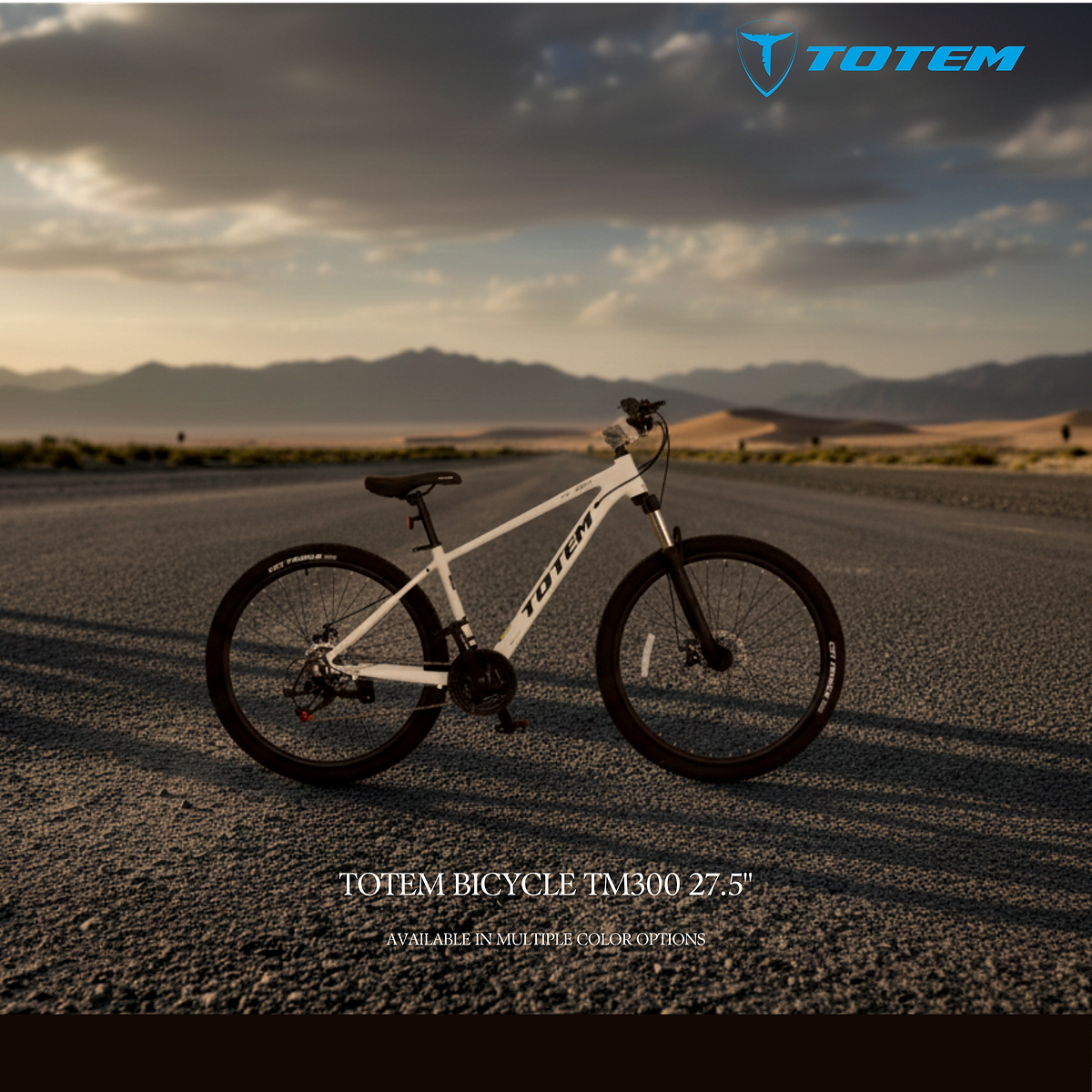TOTEM BICYCLE TM300 27. 5