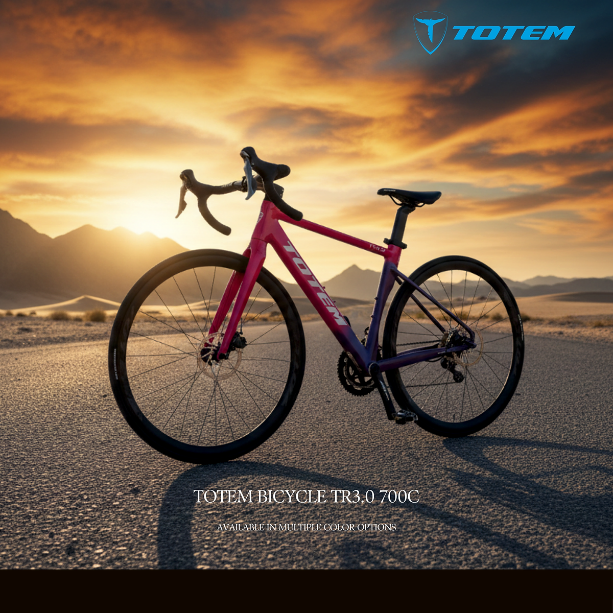 TOTEM BICYCLE TR3. 0 700C