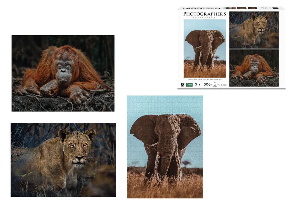 Merchant Ambassador Photographers Collection | 1000 Piece Puzzle | Tri Pack | 42001016