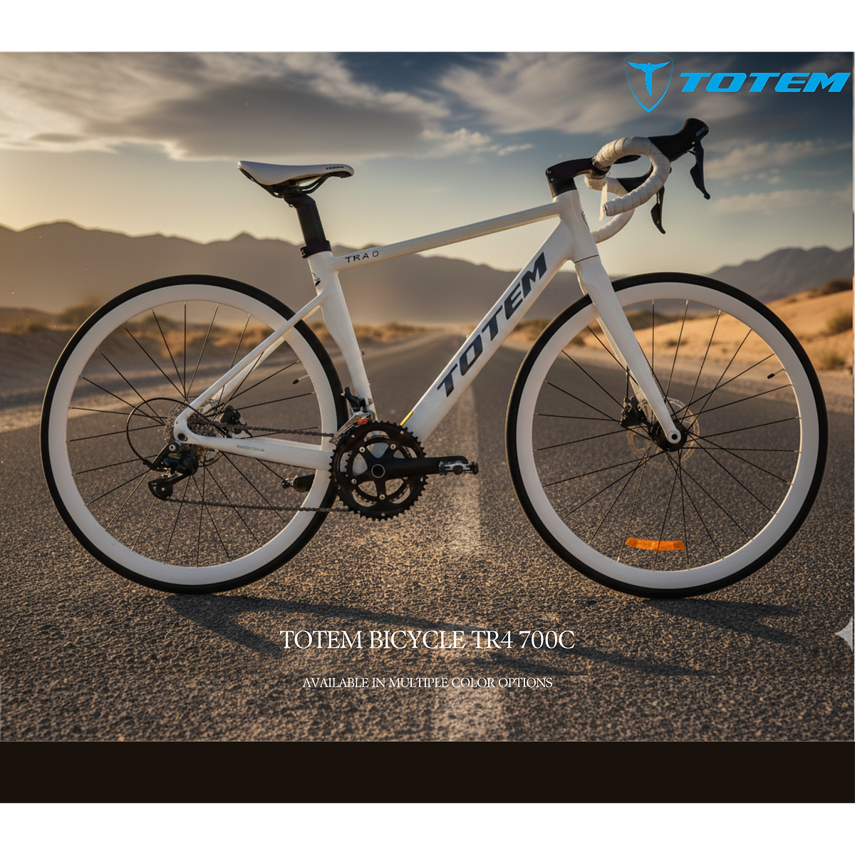 TOTEM BICYCLE TR4 700C